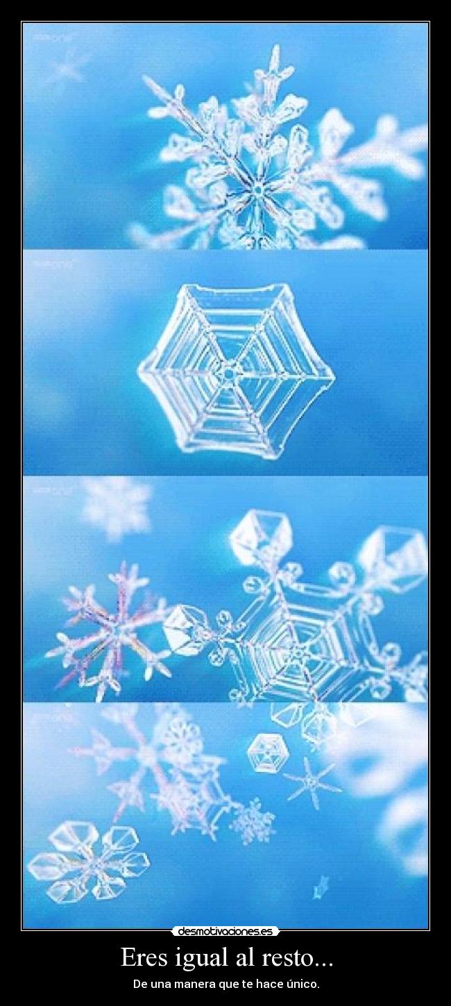Eres igual al resto... - De una manera que te hace único.