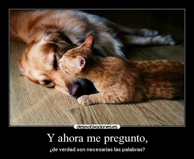 Y ahora me pregunto, - ¿de verdad son necesarias las palabras?