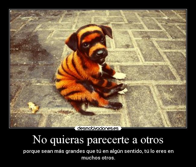 No quieras parecerte a otros - porque sean más grandes que tú en algún sentido, tú lo eres en muchos otros.