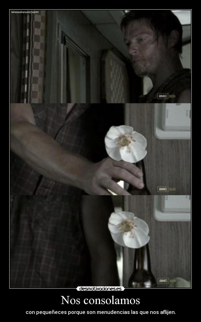 Nos consolamos - con pequeñeces porque son menudencias las que nos aflijen.