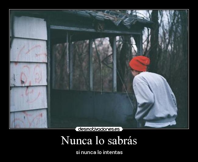 Nunca lo sabrás -