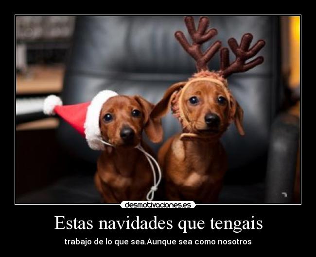 Estas navidades que tengais - 