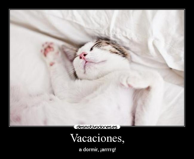 Vacaciones, - a dormir, ¡arrrrg!