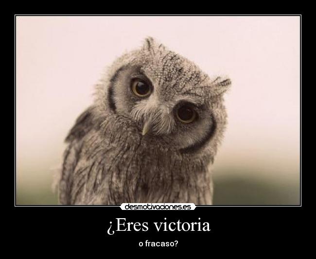 ¿Eres victoria - o fracaso?