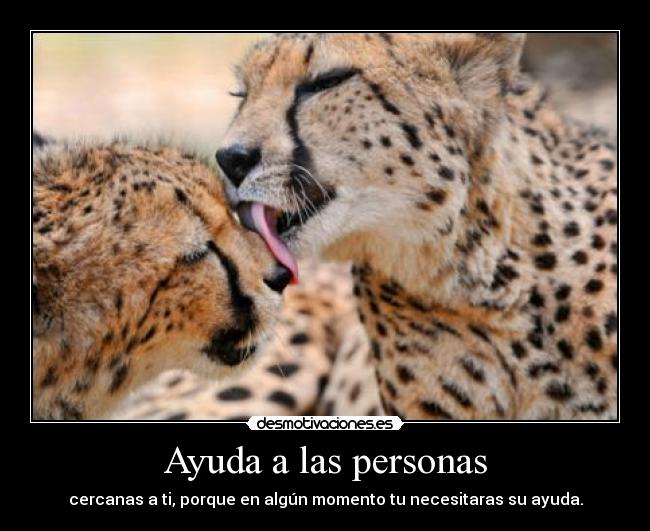 Ayuda a las personas - 