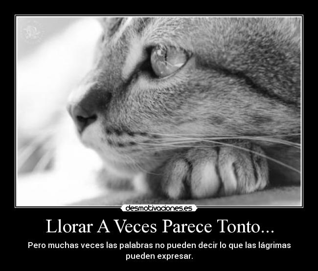 Llorar A Veces Parece Tonto... - 
