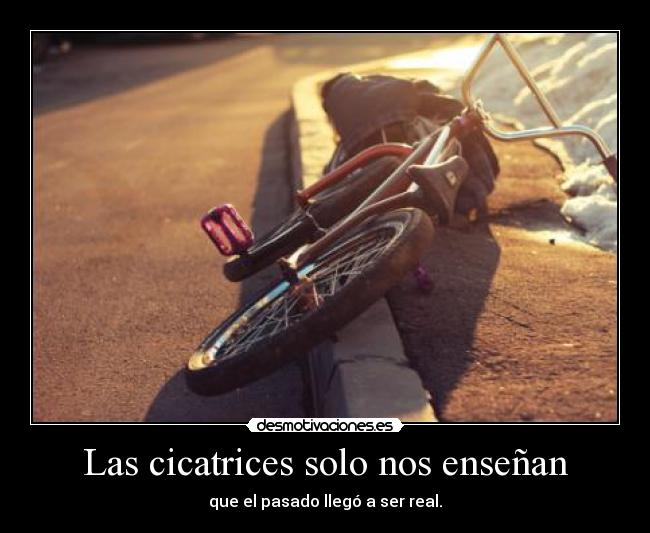 Las cicatrices solo nos enseñan -