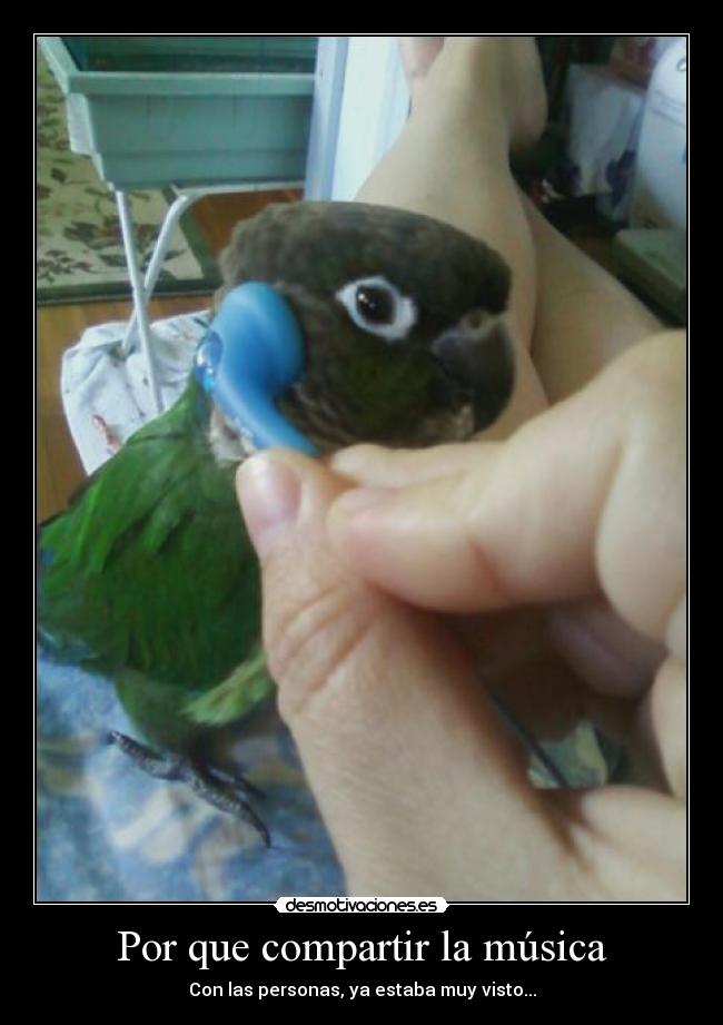 carteles musica musica solo sentimiento solo corazon desmotivaciones