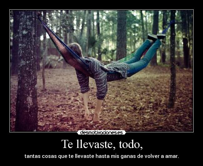 Te llevaste, todo, - 