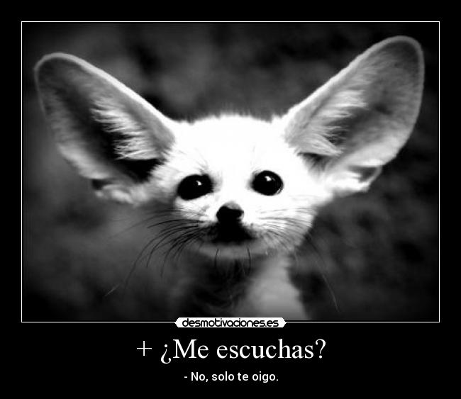 + ¿Me escuchas? - - No, solo te oigo.