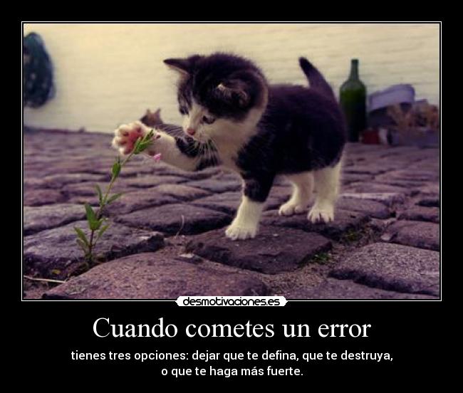 Cuando cometes un error - tienes tres opciones: dejar que te defina, que te destruya,
o que te haga más fuerte.
