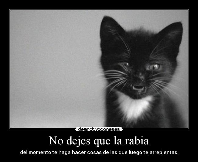 No dejes que la rabia - del momento te haga hacer cosas de las que luego te arrepientas.