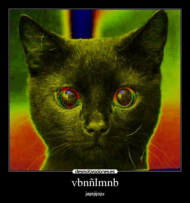 vbnñlmnb - 