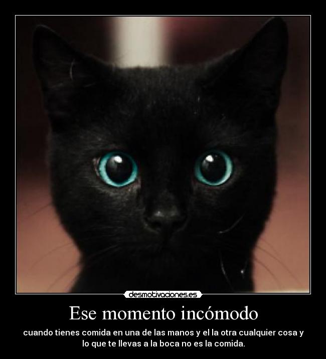Ese momento incómodo - cuando tienes comida en una de las manos y el la otra cualquier cosa y
lo que te llevas a la boca no es la comida.