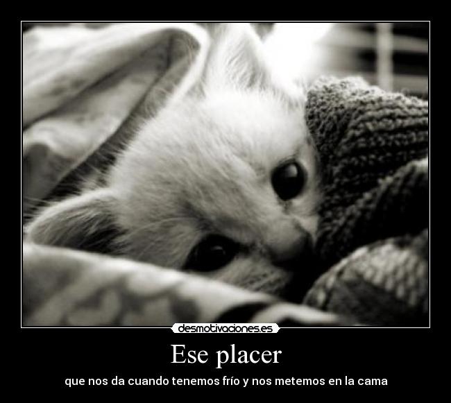 Ese placer - que nos da cuando tenemos frío y nos metemos en la cama