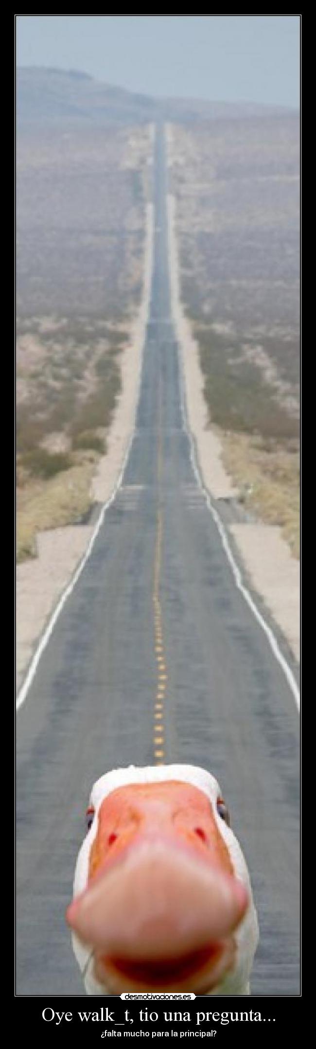 Oye walk_t, tio una pregunta... - 