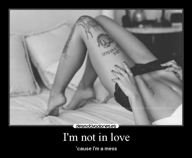 Im not in love - cause Im a mess