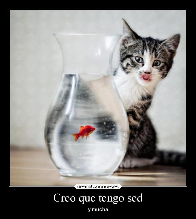 Creo que tengo sed - 