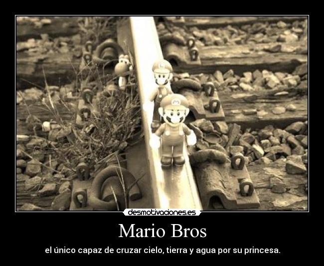 Mario Bros - el único capaz de cruzar cielo, tierra y agua por su princesa.