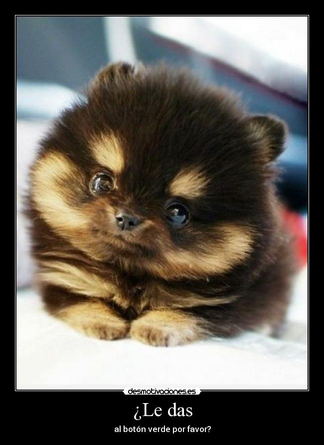 ¿Le das - al botón verde por favor?