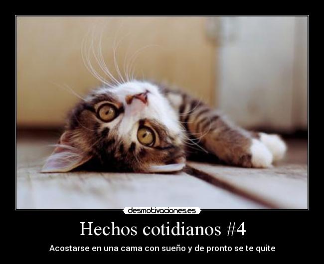 Hechos cotidianos #4 - Acostarse en una cama con sueño y de pronto se te quite