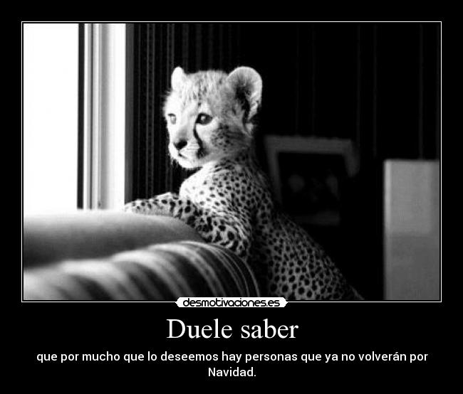 carteles duele personas que estan gemelo23 desmotivaciones