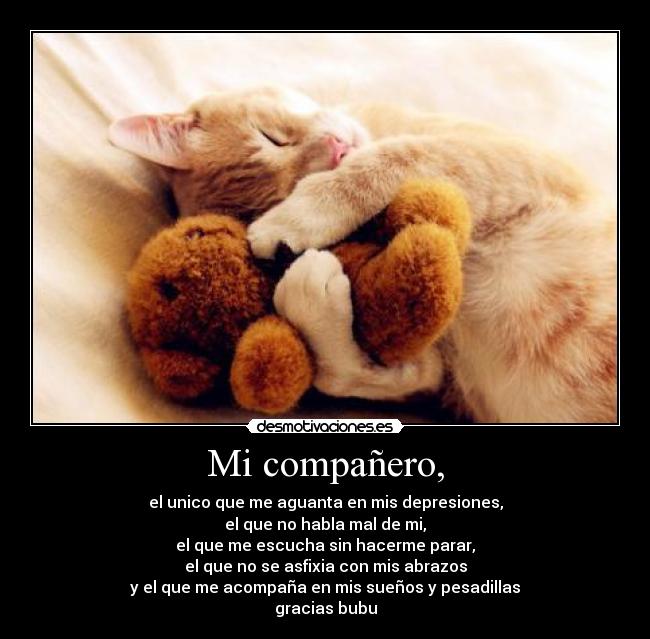 carteles pelucheeee desmotivaciones