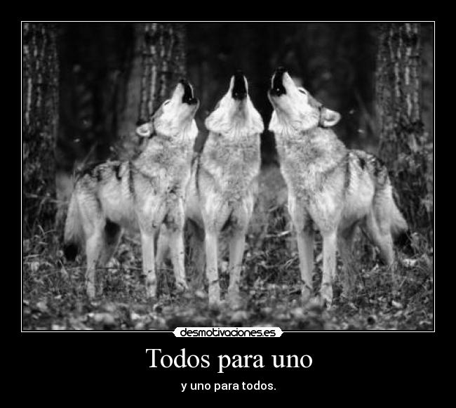 Todos para uno - y uno para todos.