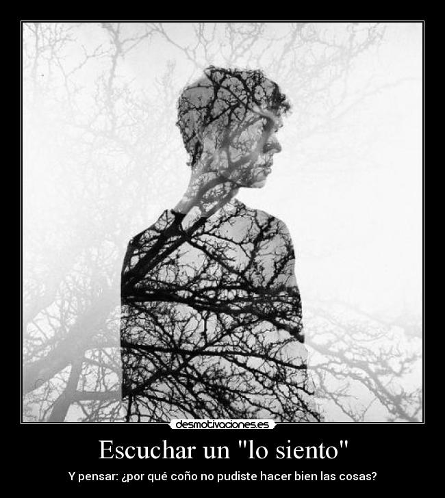 Escuchar un lo siento - Y pensar: ¿por qué coño no pudiste hacer bien las cosas?