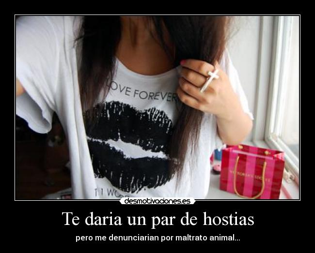 carteles perraaaaaaaaaaaaaaaaa desmotivaciones