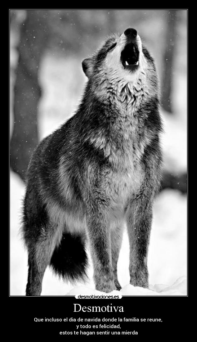 Desmotiva - Que incluso el dia de navida donde la familia se reune,
y todo es felicidad,
estos te hagan sentir una mierda