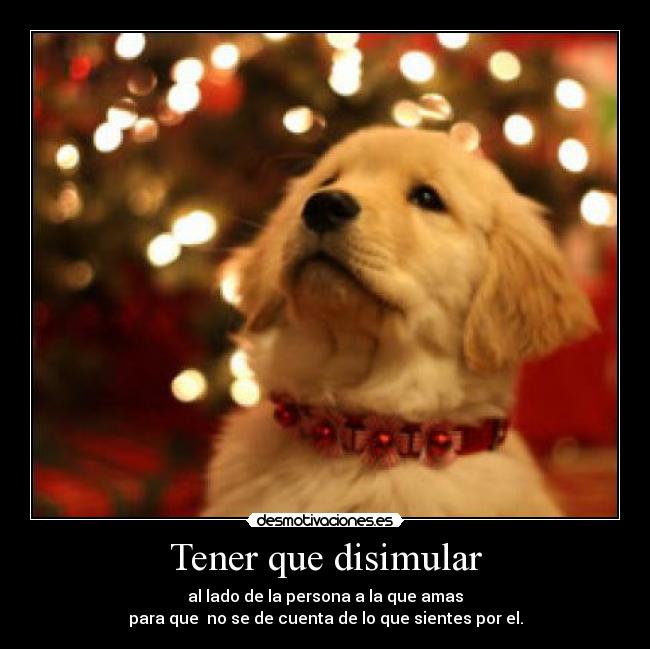 Tener que disimular - 