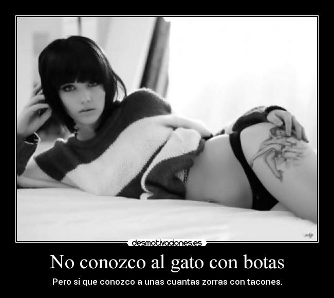No conozco al gato con botas - Pero si que conozco a unas cuantas zorras con tacones.