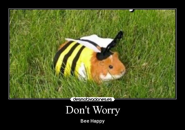 Dont Worry - Bee Happy