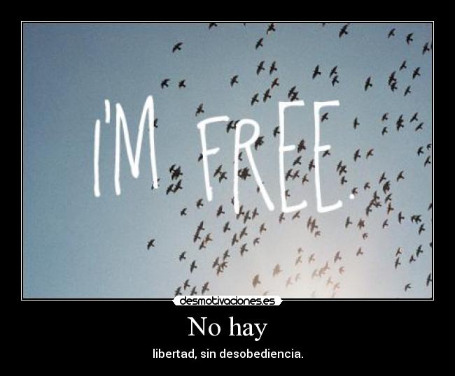 No hay -