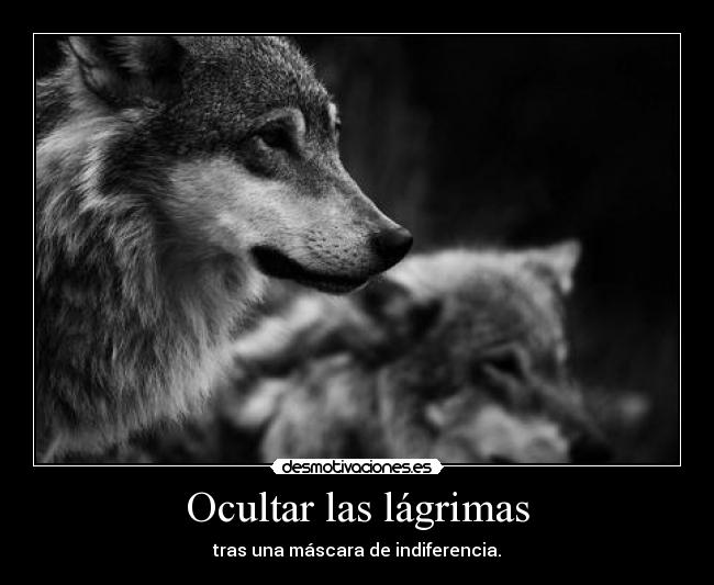 Ocultar las lágrimas - 