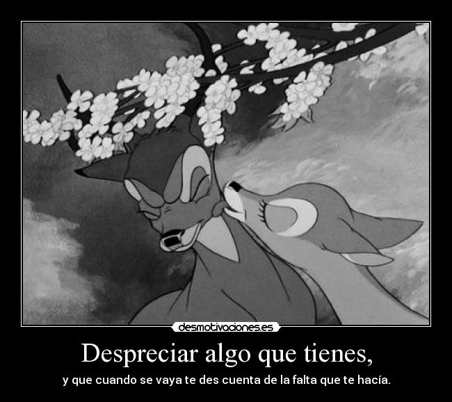 Despreciar algo que tienes, - 