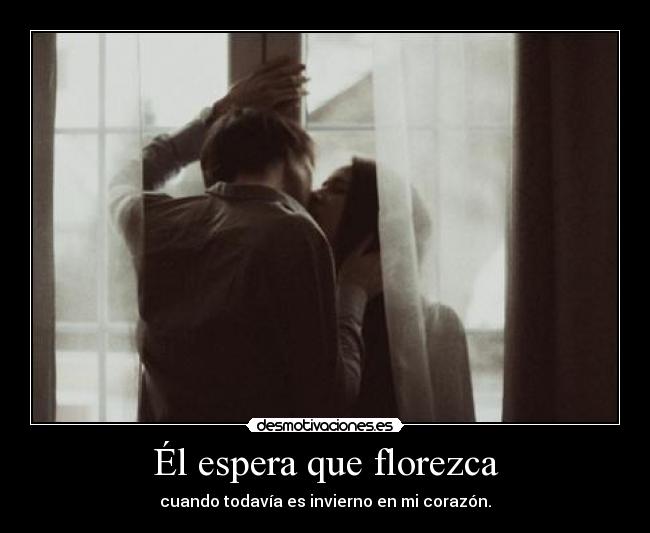 Él espera que florezca - 