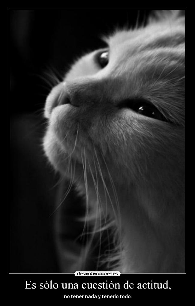 Es sólo una cuestión de actitud, - no tener nada y tenerlo todo.