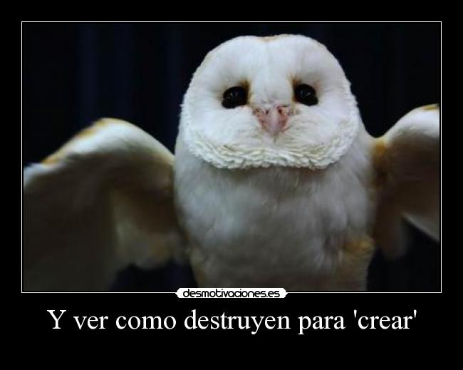 Y ver como destruyen para crear - 