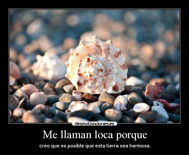 Me llaman loca porque - 