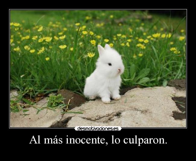 Al más inocente, lo culparon. -