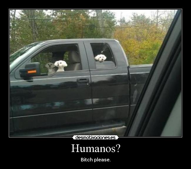 Humanos? - Bitch please.