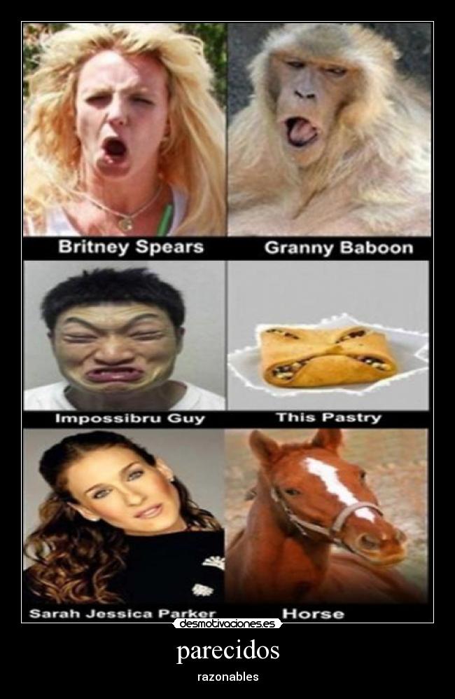 parecidos - razonables