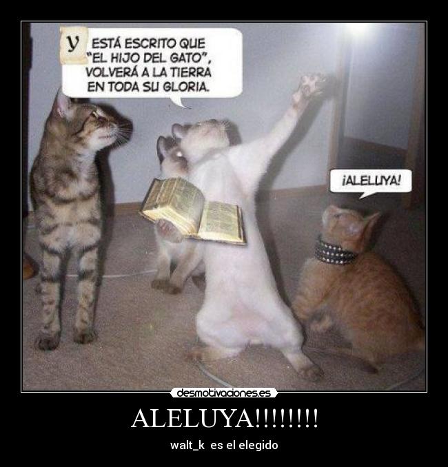 ALELUYA!!!!!!!! - 