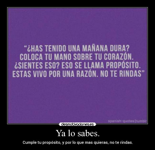 Ya lo sabes. -