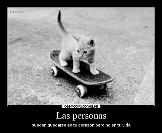 carteles cat desmotivaciones