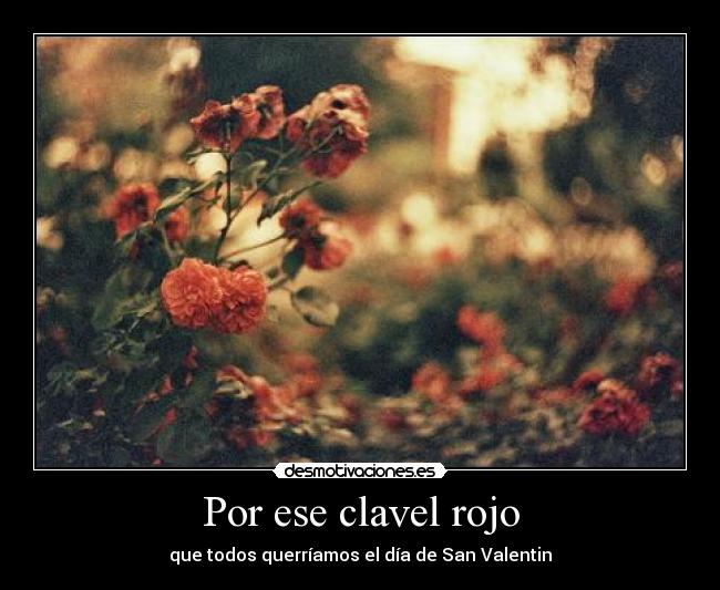 Por ese clavel rojo - que todos querríamos el día de San Valentin