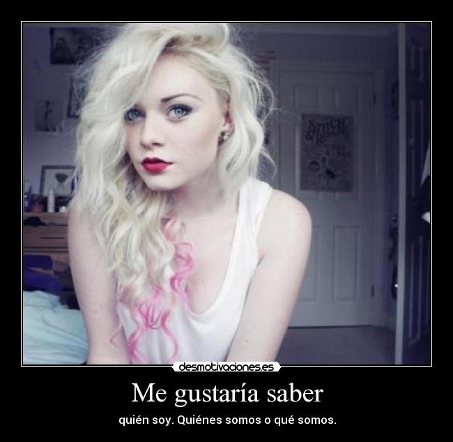 Me gustaría saber - quién soy. Quiénes somos o qué somos.