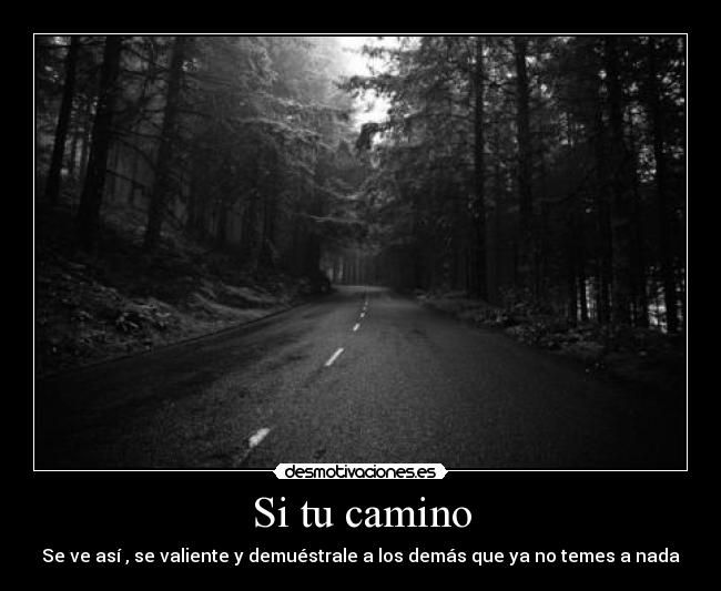 Si tu camino -